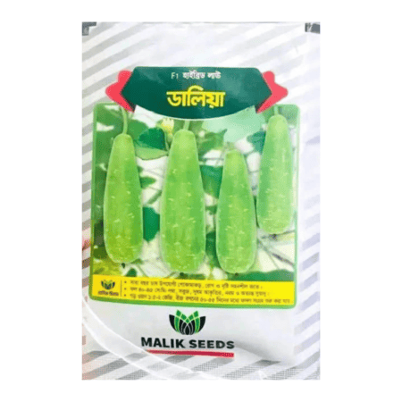F1 Hybrid Bottle Gourd Seeds Daliya
