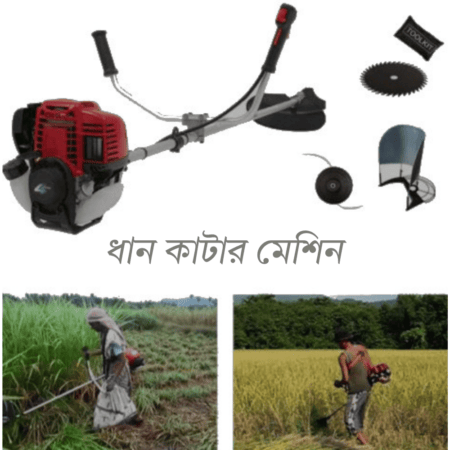 Rice Cutting Machine