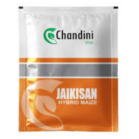 Bondhon Maize Seeds- JaiKishan