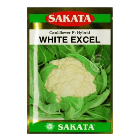 F1 Hybrid Cauliflower Seeds White Excel