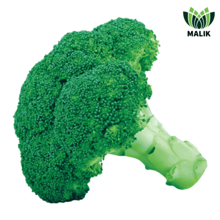 F1 Hybrid Broccoli Seeds Green Gaint