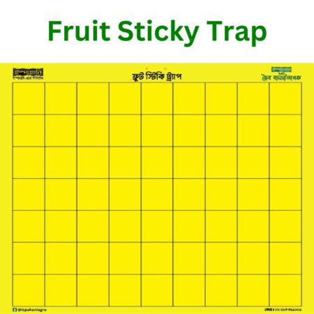 Fruit Sticky Trap