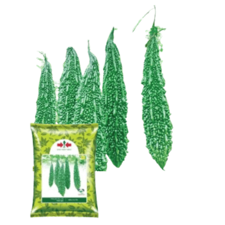 F1 Hybrid Bitter Gourd Seeds Palee Plus