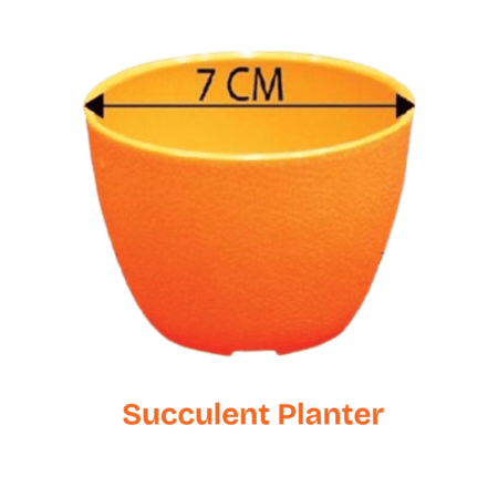 Flower Tob- Succulent Planter