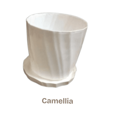 Flower Tob- Camellia