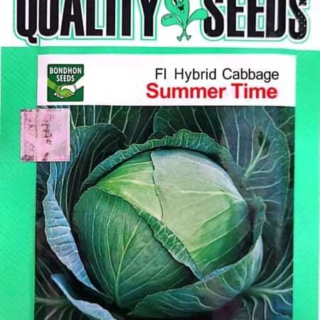 Bondhon Cabbage Seeds- Summer Time