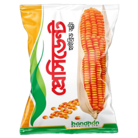 Bondhon Maize Seeds- President