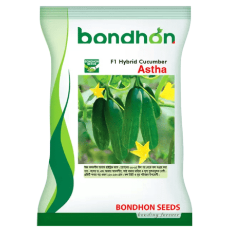 Bondhon Cucumber Seeds- Astha
