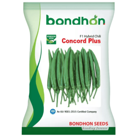 Bondhon Chili Seeds- Concord Plus
