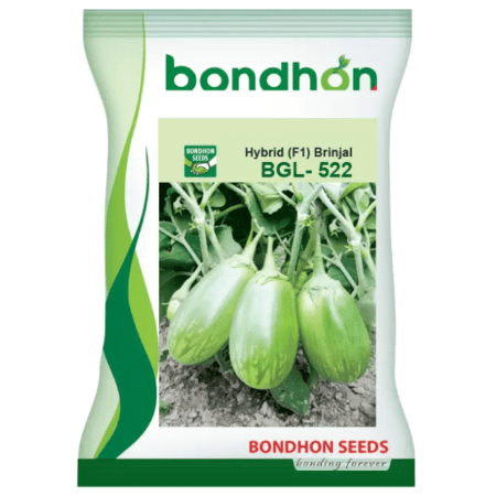 Bondhon Brinjal Seeds- BGL-522
