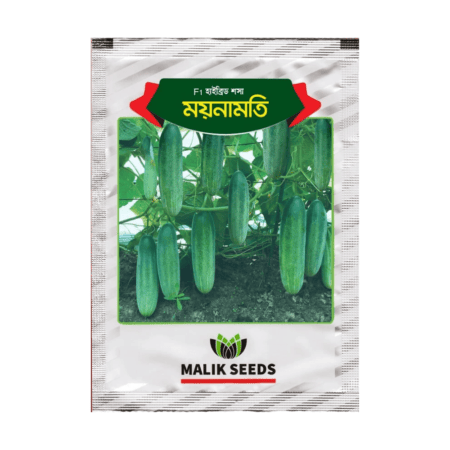 F1 Hybrid Cucumber Seeds Moynamoti
