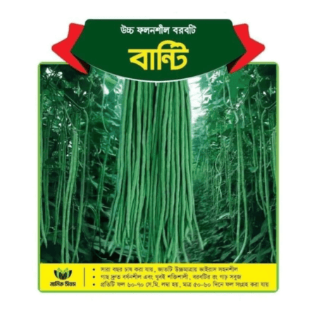 F1 Hybrid Long Yard Bean Seeds Bunty