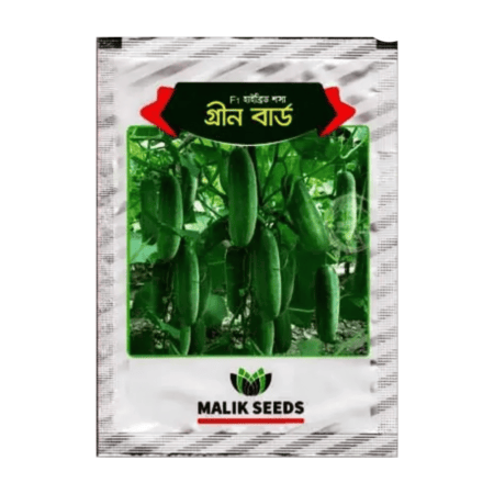 F1 Hybrid Cucumber Seeds Green Bird