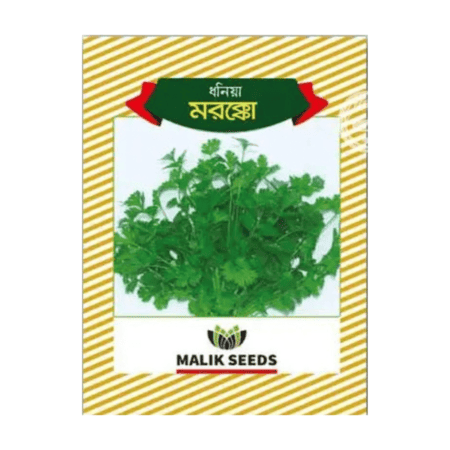 F1 Hybrid Coriander Seeds Morocco