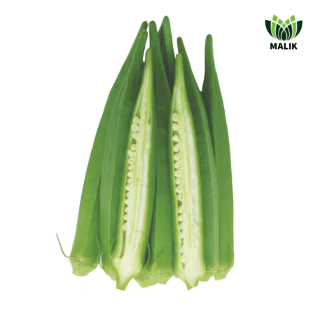 F1 Hybrid Okra Seeds Shanti