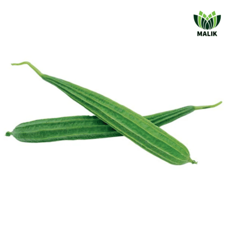 F1 Hybrid Ridge Gourd Seeds Sagor Plus