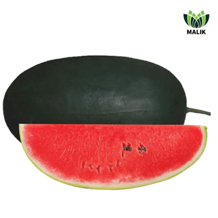 Hybrid Black Icebox Watermelon Seeds Karisma