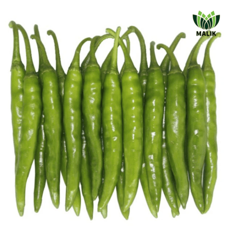 F1 Hybrid Chili Seeds Sakata