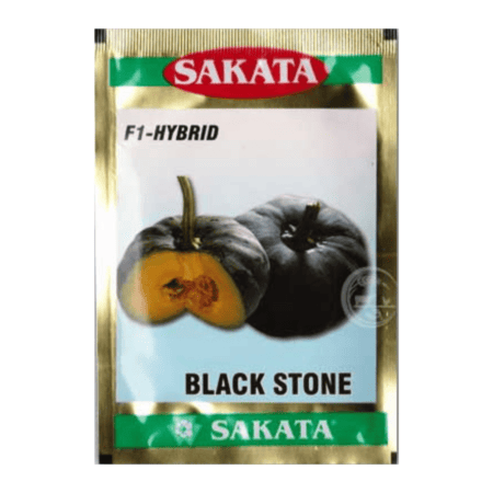 F1 Hybrid Pumpkin Seeds Black Stone