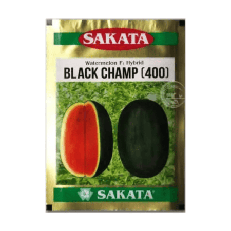 Hybrid Black Icebox Watermelon Seeds Black Champ