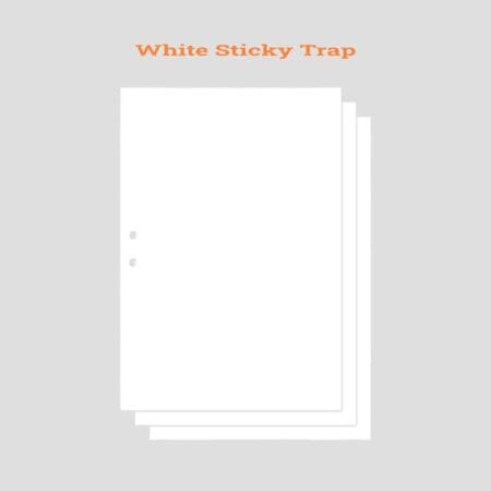 White Sticky Trap