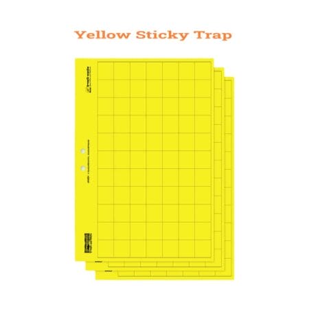 Yellow Sticky Trap Small