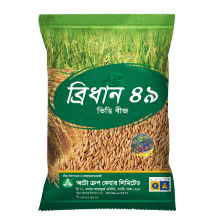 F1 Hybrid Rice Seeds BRRI DHAN 49