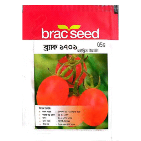F1 Hybrid Tomato Seeds Brac 1701