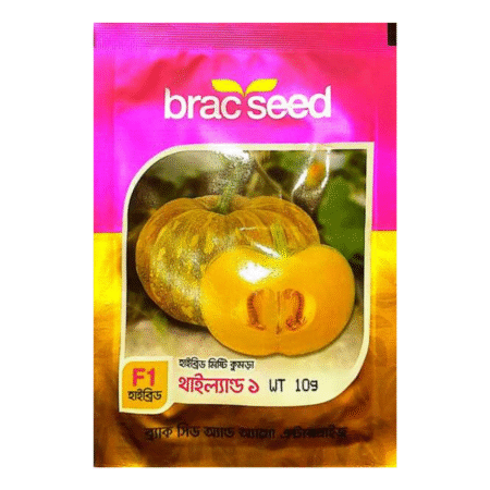 F1 Hybrid Pumpkin Seeds Thailand-1