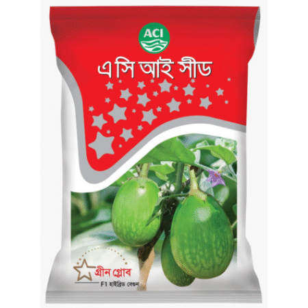 F1 Hybrid Brinjal Seed Green Globe