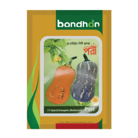 Bondhon Pumpkin Seeds- Pori