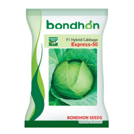 Bondhon Cabbage Seeds- Exepress- 50