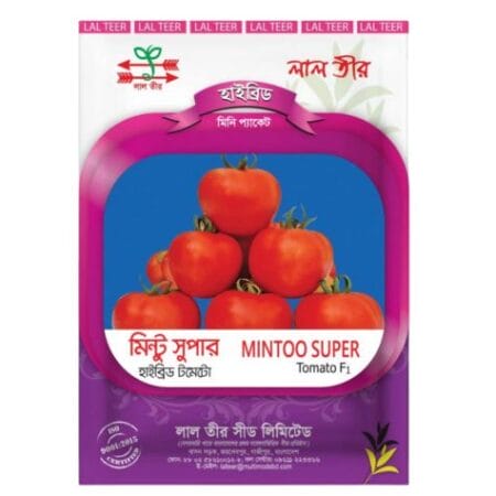 F1 Hybrid Tomato Seed Mintu super