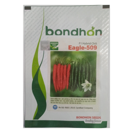 Bondhon Chili Seeds- Eagle- 509