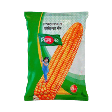 Hybrid Maize Seed Bijoy-71