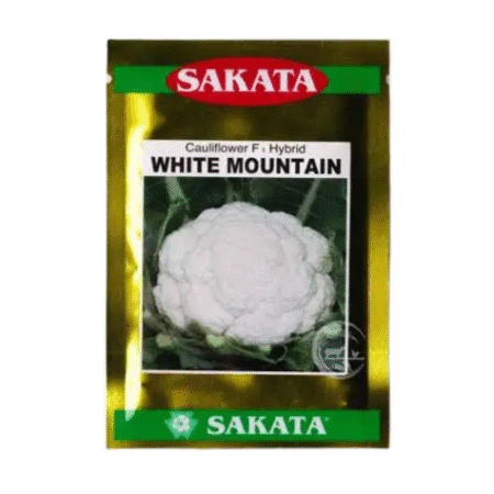F1 Hybrid Cauliflower Seed White Mountain