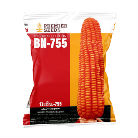 Hybrid Maize Seed BN-755