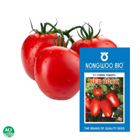 Hybrid Tomato Seed Red Rock
