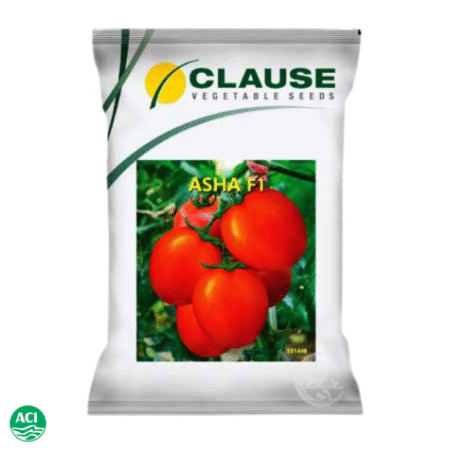 F1 Hybrid Tomato Seed Asha