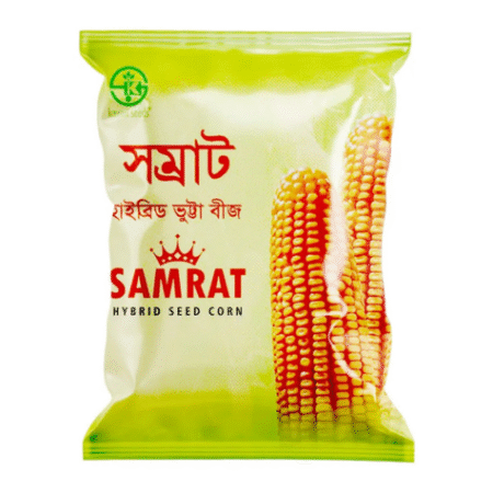 Hybrid Maize Seed Somrat