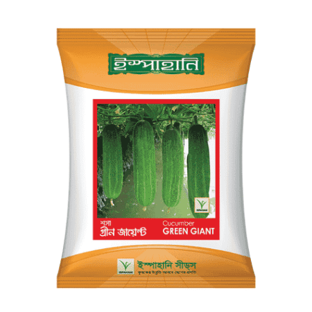 F1 Hybrid Cucumber Seed Green Jayent