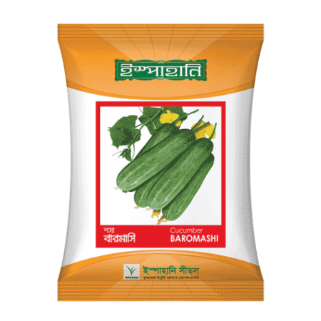 F1 Hybrid Cucumber Seed Baromashi