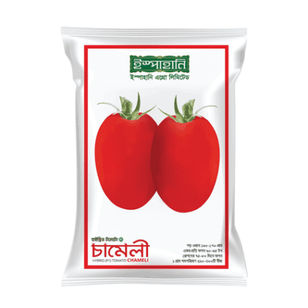 F1 Hybrid Tomato Seed Chamely