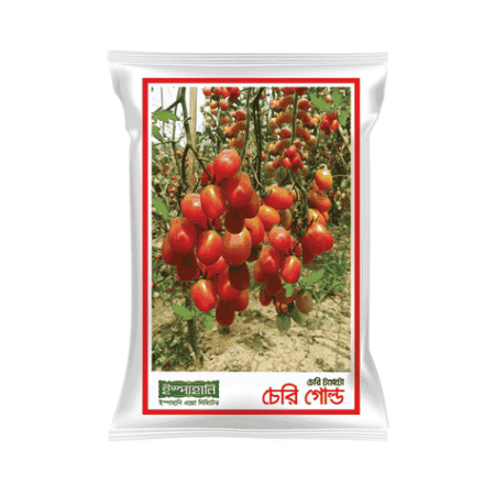 F1 Hybrid Tomato Seed Cheri Gold