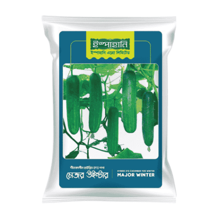 F1 Hybrid Cucumber Seed Mejor Winter