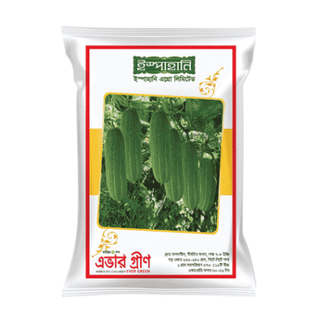 F1 Hybrid Cucumber Seed Evergreen