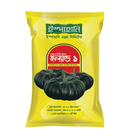 F1 Hybrid Pupmkin Seed Holand-1