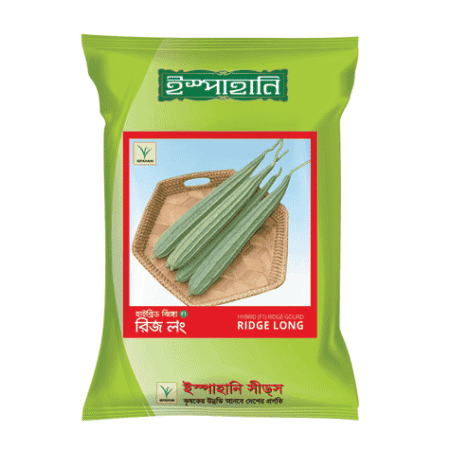 F1 Hybrid Ridge Gourd Ridge Long