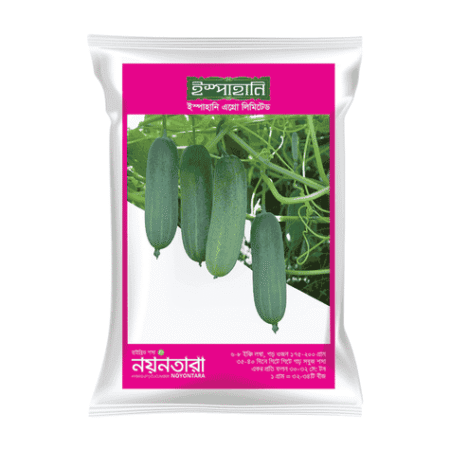 F1 Hybrid Cucumber Seed Noyontara