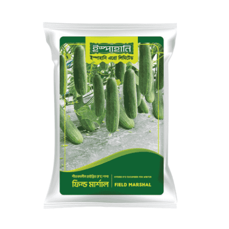 F1 Hybrid Cucumber Seed Field Marshal